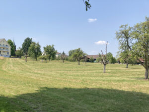 2. Charakteristische Landschaftsräume stärken